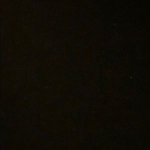 Meet your Posher, Annel